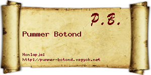 Pummer Botond névjegykártya